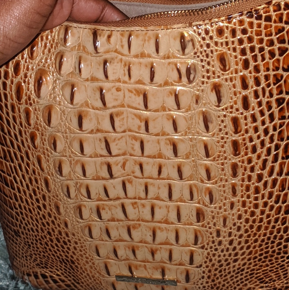 Brahmin purse